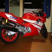 Honda CBR 600 F2 (PC25) Nyk. M