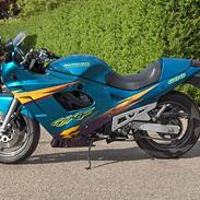 Suzuki GSX 600 F