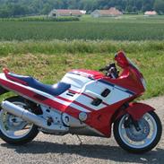 Honda CBR 1000 - SOLGT