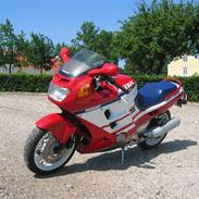 Honda CBR 1000 - SOLGT