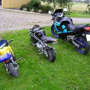 Suzuki GSX600F SOLGT