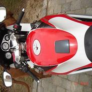 Bimota SB6