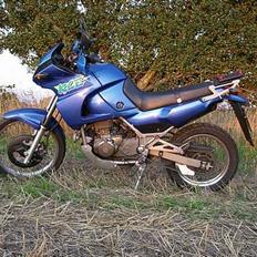 Kawasaki KLE 500