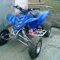 Yamaha raptor
