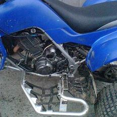 Yamaha raptor