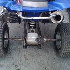 Yamaha raptor