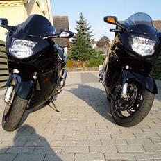Honda cbr 1100 xx blackbird