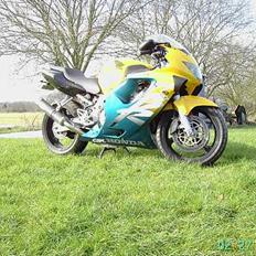 Honda Cbr 600 f4