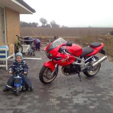 Suzuki tl 1000s