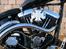 Harley Davidson  WCC. - Solskinsdag Februar 2007