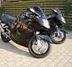 Honda cbr 1100 xx blackbird