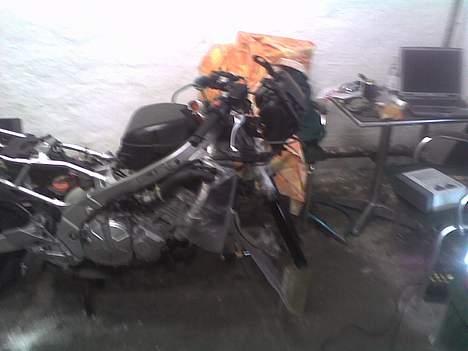 Honda CBR 600 F2 - Vinter strip. Det er noget sløret desværre.  billede 8