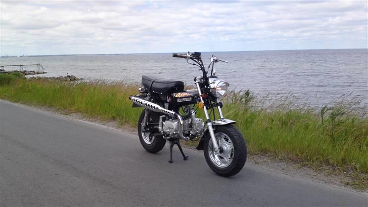 Skyteam Dax. / Mg - Flotteste. billede 11