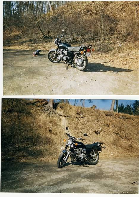 Suzuki Gs 850 G ( solgt d.3/11 ) - Da den var færdig, men den gamle udstødning på. og sidetaskeholdere. billede 5