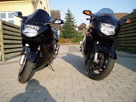 Honda cbr 1100 xx blackbird - De er fede ik billede 2