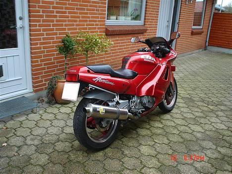 Honda CBR 600 *SOLGT* billede 6