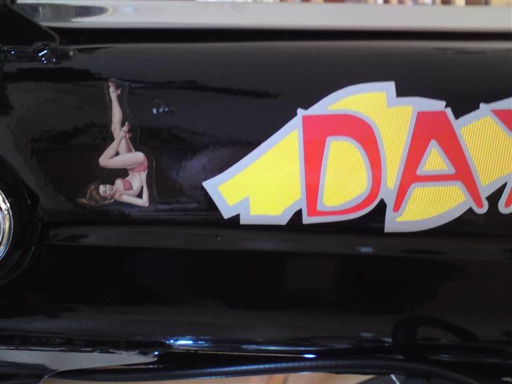 Skyteam Dax. / Mg - Flotteste. billede 13