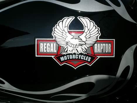 Regal Raptor DD150E billede 4