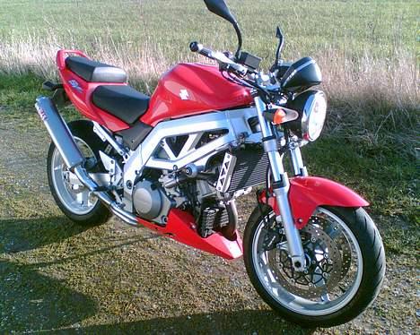 Suzuki SV 1000 N billede 6