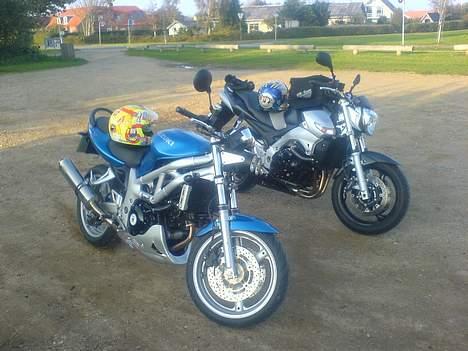 Suzuki Sv 650 billede 1