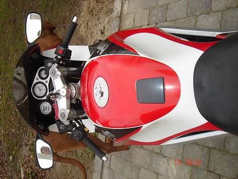 Bimota SB6 billede 3