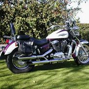 Honda  VT 1100 Shadow ACE