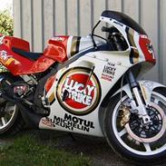 Suzuki RGV 250