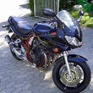 Suzuki Bandit 1200