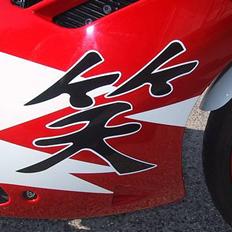 Suzuki gsxr 250 | Randers |SOLGT
