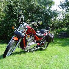 Suzuki VS 800 Intruder