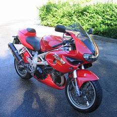 Suzuki TL 1000 S [solgt]