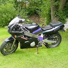 Yamaha FZR 600