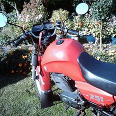 MZ 251 (SOLGT)