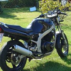 Suzuki GS 500E [SOLGT]