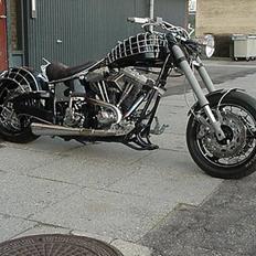 Harley Davidson custom