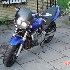 Honda HORNET 600