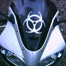 Suzuki SV 1000S sk3