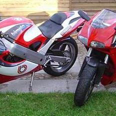Bimota SB6 ***Solgt***