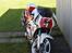 Suzuki RGV 250