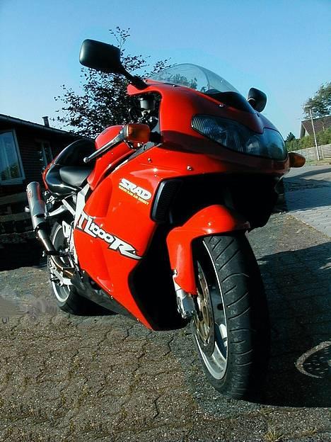 Suzuki TL1000R billede 1