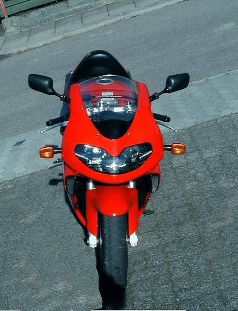 Suzuki TL1000R billede 3