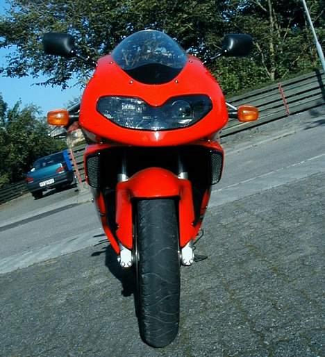 Suzuki TL1000R billede 4