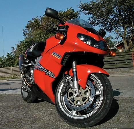 Suzuki TL1000R billede 9