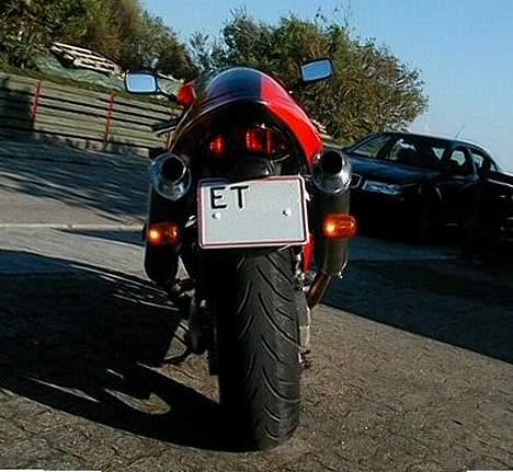 Suzuki TL1000R billede 10