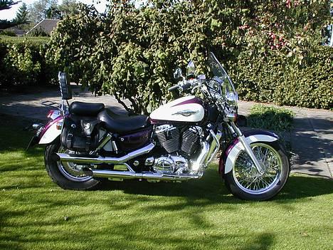 Honda  VT 1100 Shadow ACE billede 1