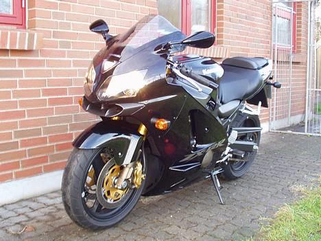 Kawasaki ZX12R billede 6