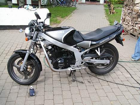 Suzuki GS 500 E billede 1