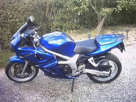 Suzuki sv650s billede 4