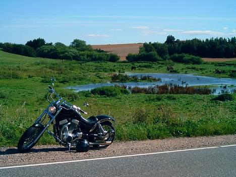 Suzuki Intruder VS 1400 - En Intruder pynter på den danske natur ??! billede 4