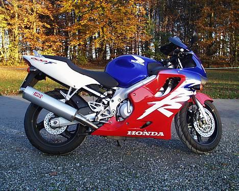 Honda CBR 600 F4 - Solgt - "I skovens dybe stille ro..." billede 2